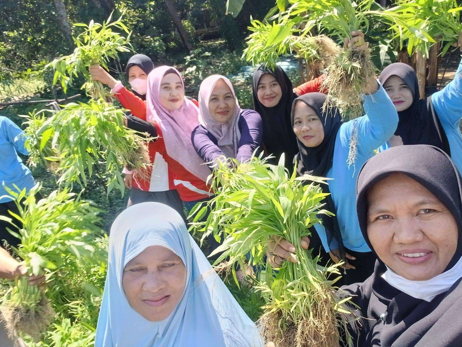 Kegiatan Panen Sayur Kangkung di Kebun PKK Kelurahan Sungaibaru