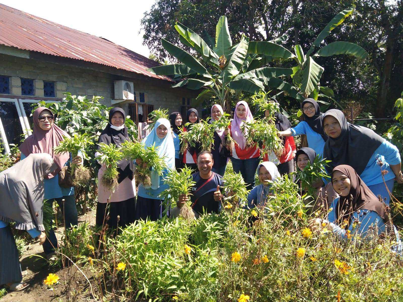Kegiatan Panen Sayur Kangkung di Kebun PKK Kelurahan Sungaibaru